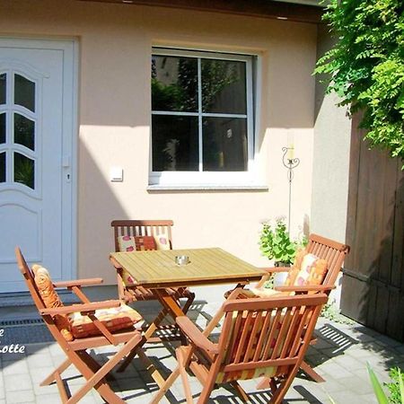 Ferienwohnungen _ Haus Lisa_ Senftenberg Dış mekan fotoğraf