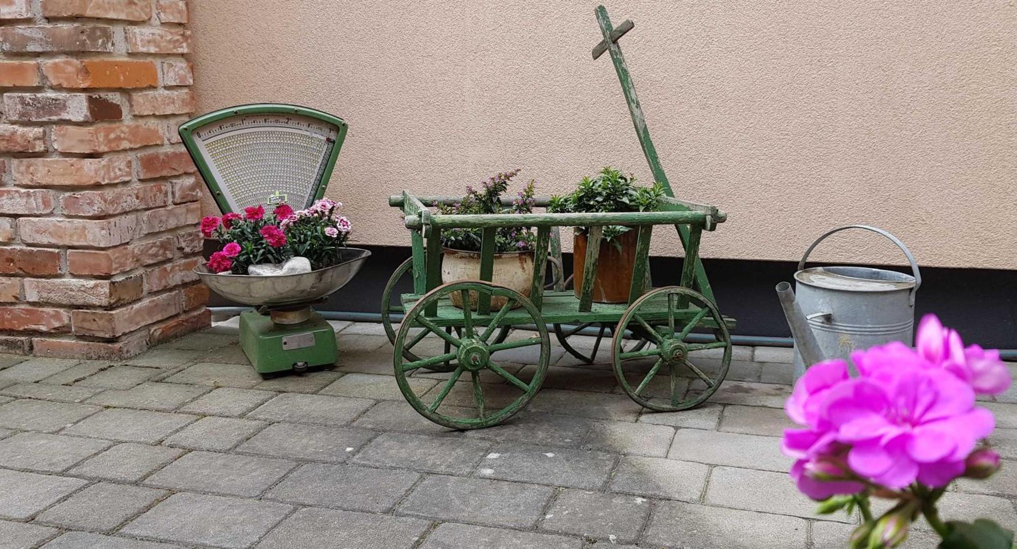 Ferienwohnungen _ Haus Lisa_ Senftenberg Dış mekan fotoğraf