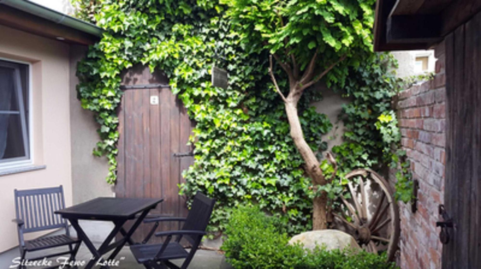 Ferienwohnungen _ Haus Lisa_ Senftenberg Dış mekan fotoğraf