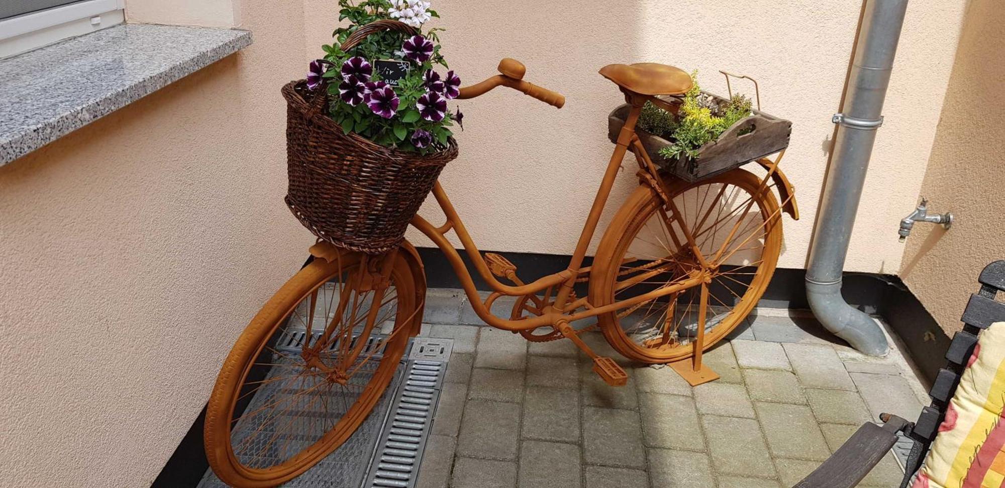 Ferienwohnungen _ Haus Lisa_ Senftenberg Dış mekan fotoğraf