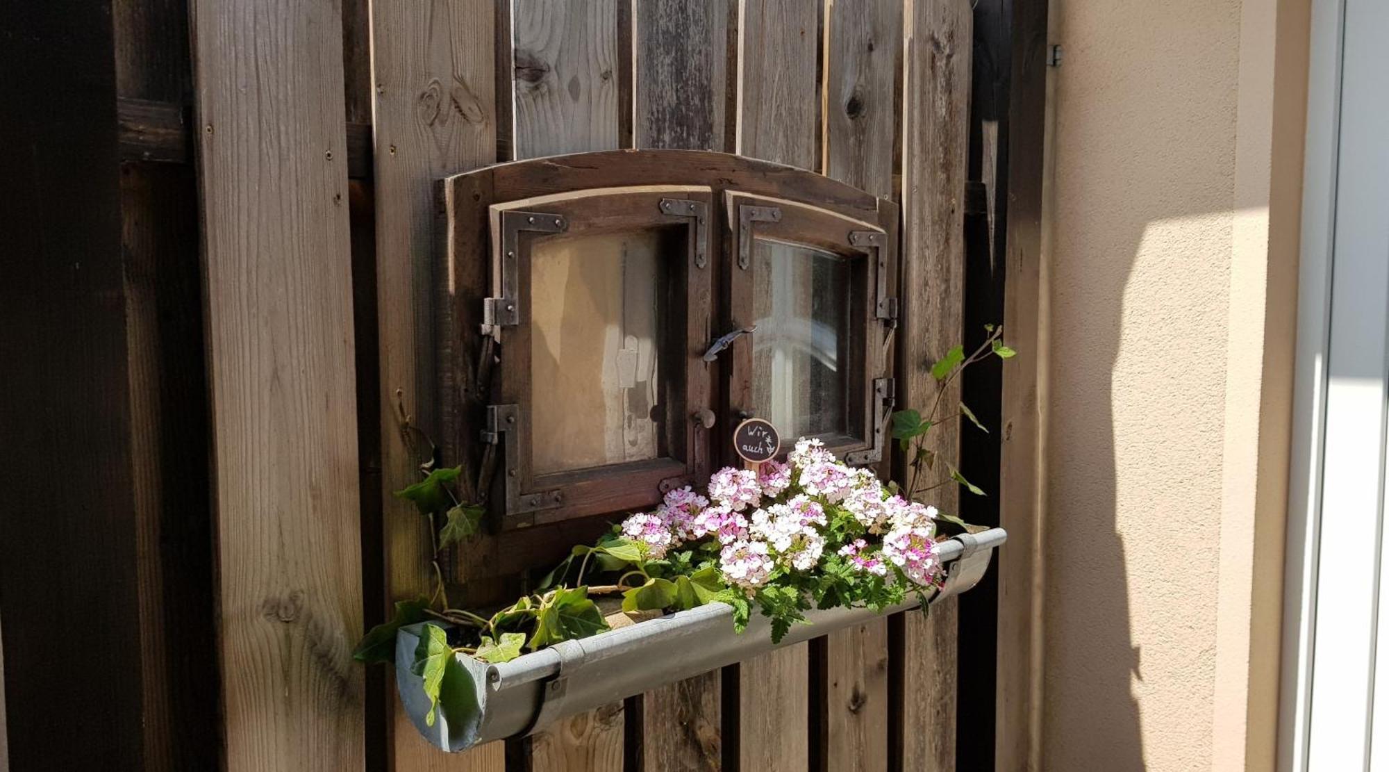 Ferienwohnungen _ Haus Lisa_ Senftenberg Dış mekan fotoğraf